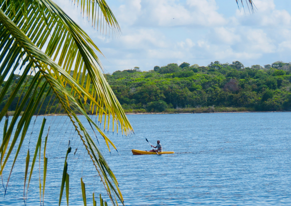 Añadir un título (1)